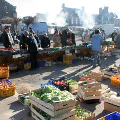 markt januar 2008