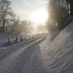 schnee 2009 guehebert ab august